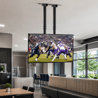 SH 360R TV Ceiling Mount Scenery Image