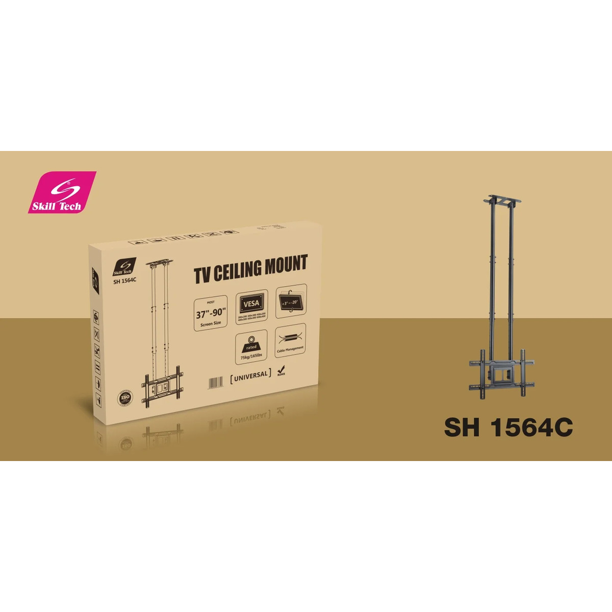Ceiling Mounts